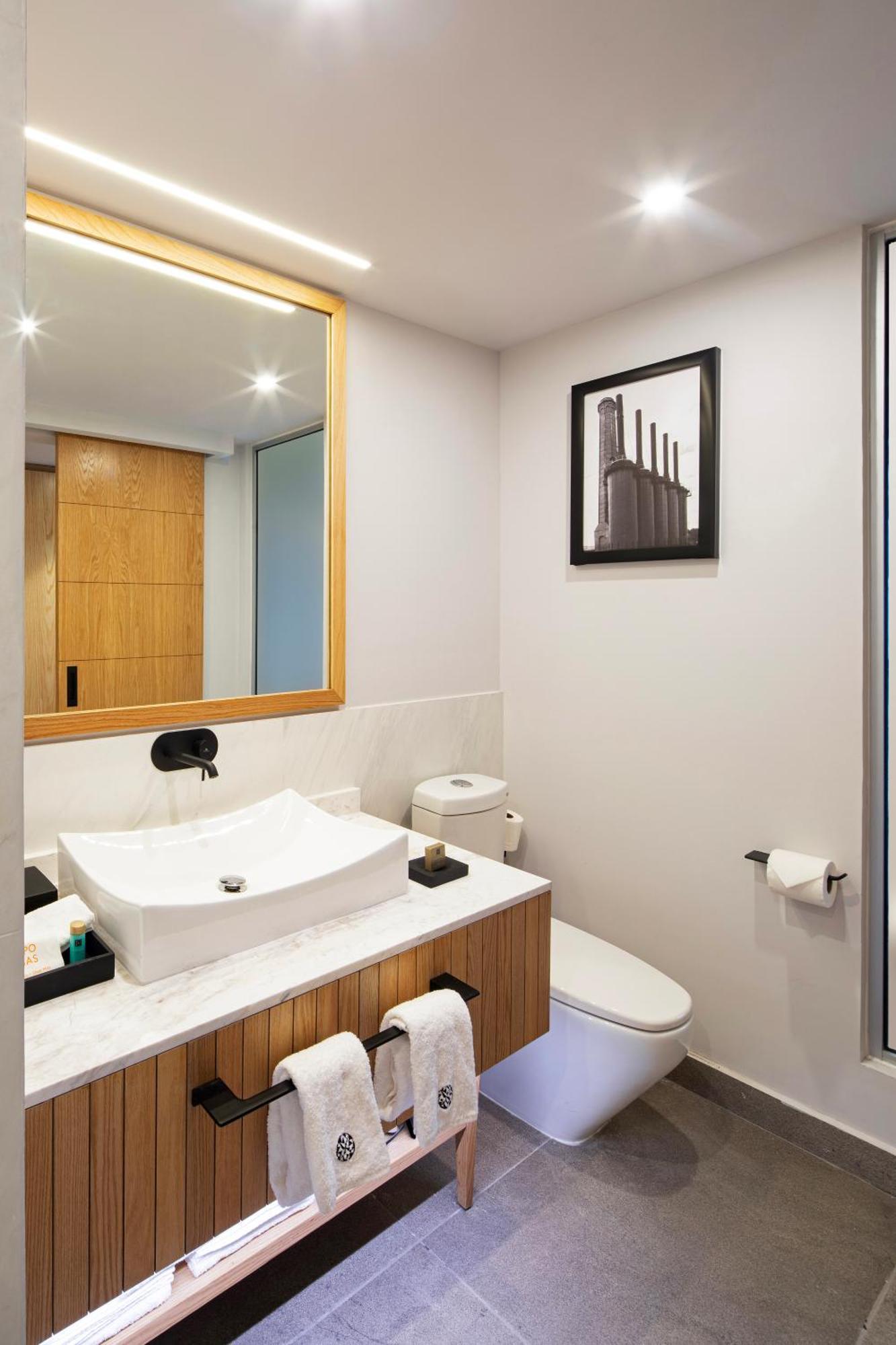 Hotel Galeria Plaza Monterrey Exteriér fotografie Bathroom
